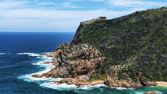 One-Way Hop-on Hop-off Bus from Cape Town to Port Elizabeth
