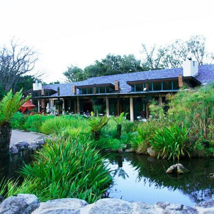 Private Tour Robben Island, Kirstenbosch and wine tasting