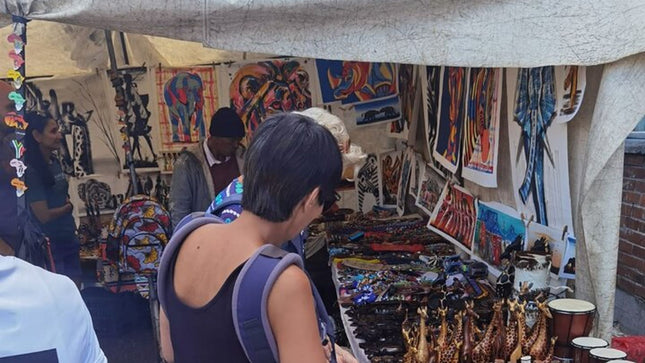 Half-Day Private Township Tour from Western Cape