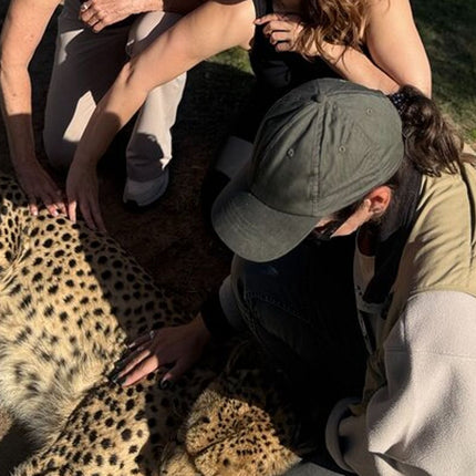 Full day tour: Cheetah outreach, Stellenbosch and Giraffe House