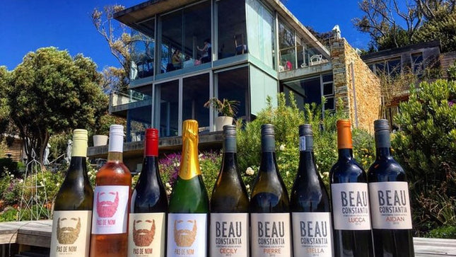 Full Day Constantia Wine Tasting and Table Mountain