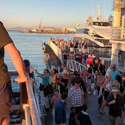Half Day Experience In Robben Island From Cape Town