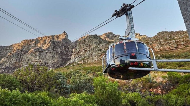3 Days Private Tour: Cape point, Table Mountain & Robben Island