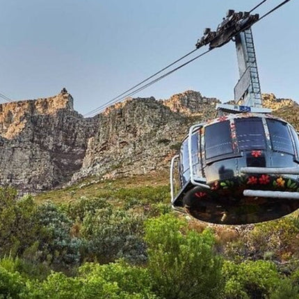 3 Days Private Tour: Cape point, Table Mountain & Robben Island