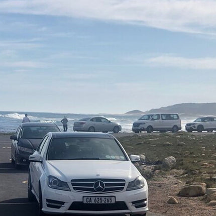 Cape Town and Cape of Good Hope Private Full-Day Tour