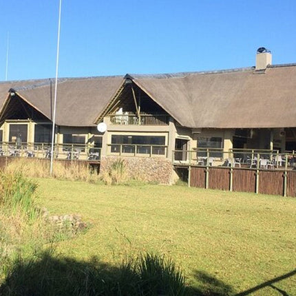 Unforgettable Lion Safari Adventure from Johannesburg