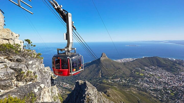 Full Day Constantia Wine Tasting and Table Mountain