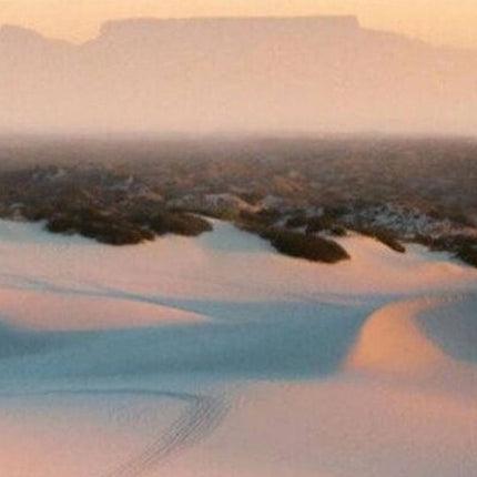 Half-Day Sand Dune Safaris in Cape Town