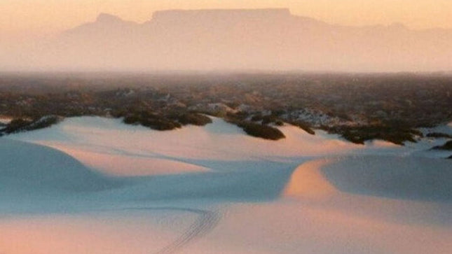 Half-Day Sand Dune Safaris in Cape Town