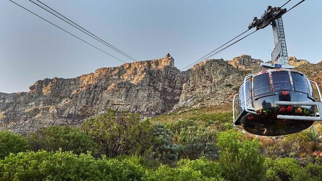 Table Mountain and Robben Island Pre Booked Tickets