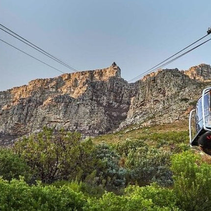 Table Mountain and Robben Island Pre Booked Tickets