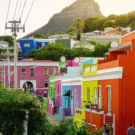 Cape Town Half-Day Sightseeing in Cape Town