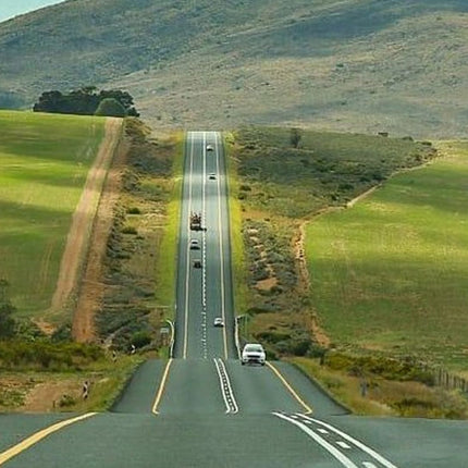 3 Day Big 5 and Bungee Tour - Garden Route Small Group Tour from Cape Town