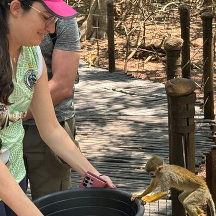 Elephant & Monkey Sanctuary Tour from Johannesburg
