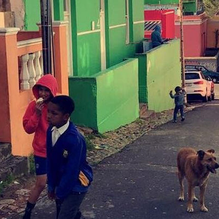 Bo-Kaap: Walk with a local