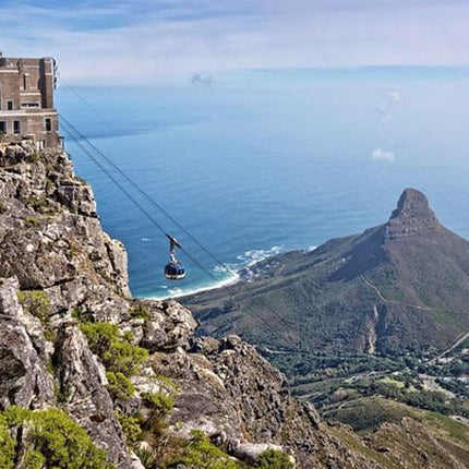Table Mountain, Cape of Good Hope & Penguins
