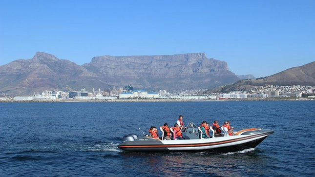 Combo Tour: Marine Wildlife Cruise and City PM