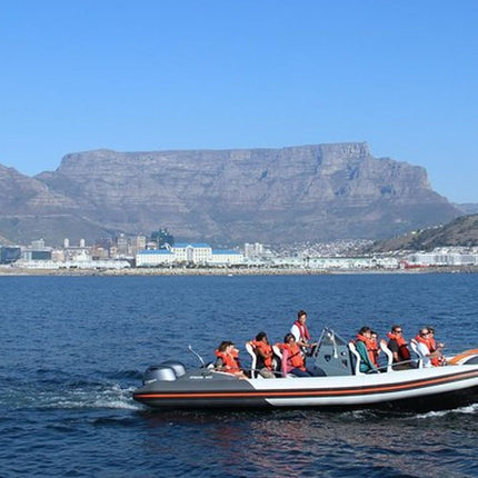 Combo Tour: Marine Wildlife Cruise and City PM