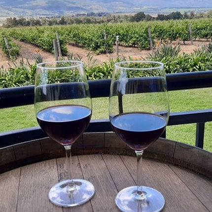 Private Tour of 3 Top Winelands with Wine Tasting from Cape Town