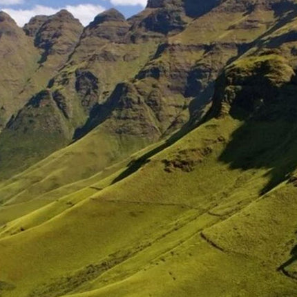 7 Days Safari - Isimangaliso, Hluhluwe & Drakensberg from Durban