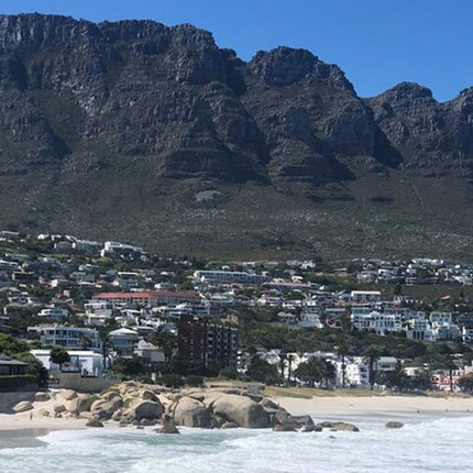 Cape Town and Cape of Good Hope Private Full-Day Tour