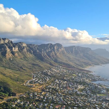 Full day Cape Peninsula Tour
