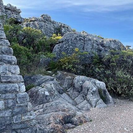 Cape Town City Sightseeing Tour