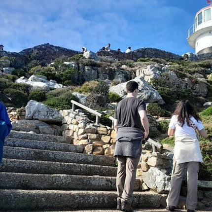 Cape of Good Hope Tour by Bus