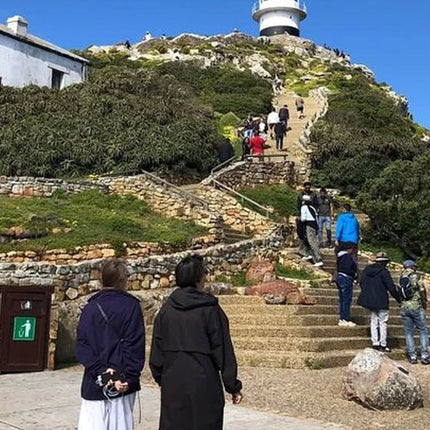Small Group Cape of Good Hope, Boulders and Cape Point