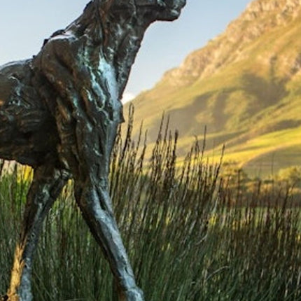 Cape Town: Private 3 Wine Regions Tour + Hotel Transfer