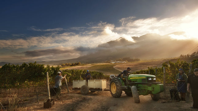 Wineland region visit with wine tasting and Franschhoek Tramway