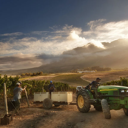 Wineland region visit with wine tasting and Franschhoek Tramway