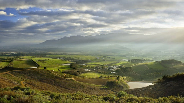 Wineland region visit with wine tasting and Franschhoek Tramway