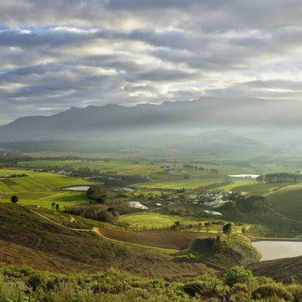 Wineland region visit with wine tasting and Franschhoek Tramway