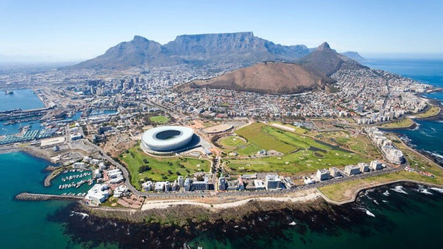 Combo Marine Wildlife Cruise & Cape Town City Full Day Tour