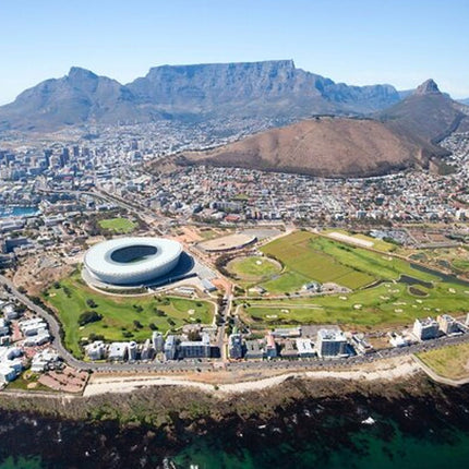 Combo Marine Wildlife Cruise & Cape Town City Full Day Tour