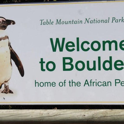 Cape Point Explore with Boulder's Penguins Small Group Day Tour