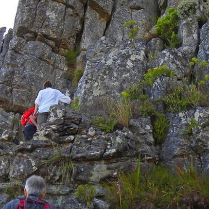 2-Day Best Private Tour Robben Island, Table Mountain, Cape Point