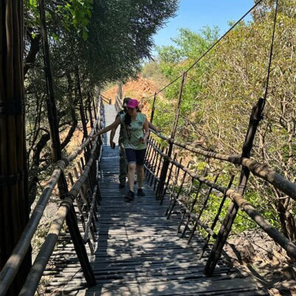 Elephant & Monkey Sanctuary Tour from Johannesburg