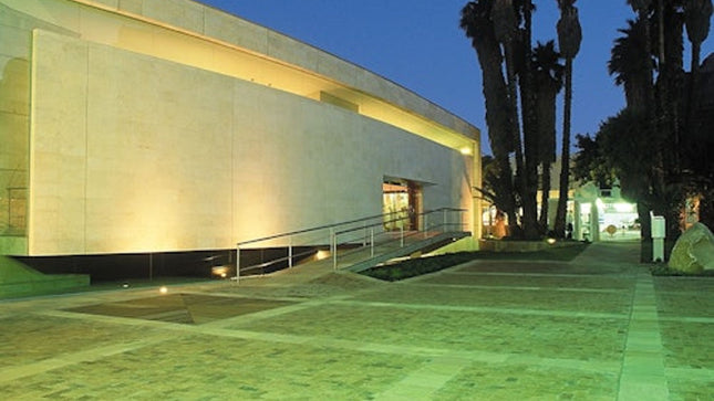South African Jewish Museum: Entry Ticket