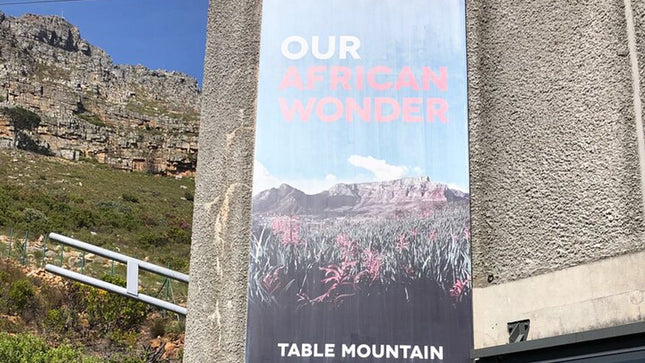 Cape Town and Cape of Good Hope Private Full-Day Tour
