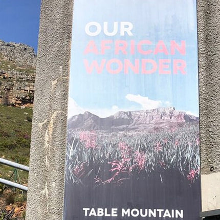 Cape Town and Cape of Good Hope Private Full-Day Tour