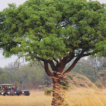Johannesburg Like a Local: Customized Private Tour