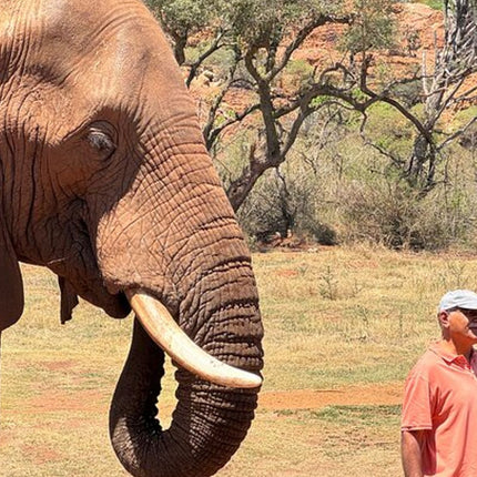 Elephant & Monkey Sanctuary Tour from Johannesburg