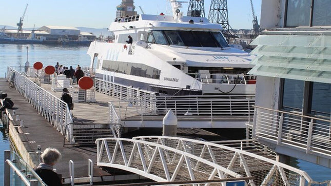 Half Day Experience in Robben Island Museum From Cape Town