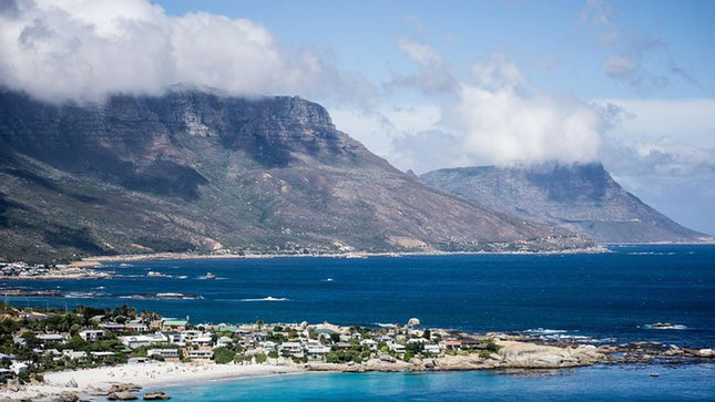 Half-Day Cape Peninsula Tour from Cape Town