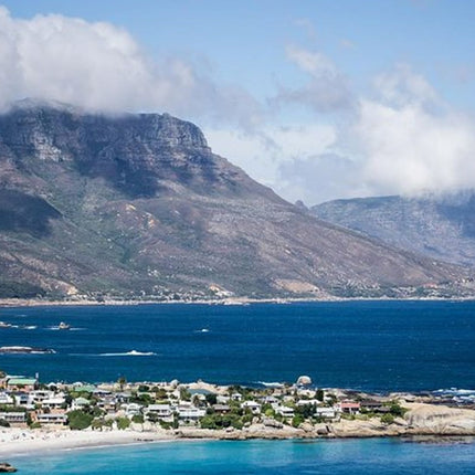 Half-Day Cape Peninsula Tour from Cape Town
