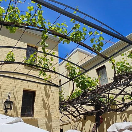 Cape Town Taste Journey A Food Walking Tour