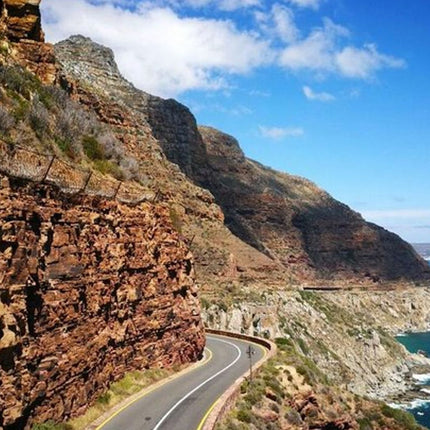 Half-Day Cape Peninsula Tour from Cape Town
