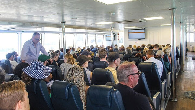 Half Day Experience in Robben Island Museum From Cape Town